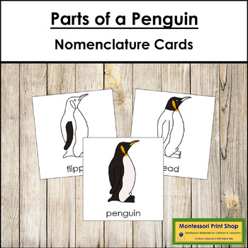 PARTS of a PENGUIN \u2022 Montessori Cards \u2022 Flash Cards \u2022 Three Part Cards \u2022 Nomenclature Cards \u2022 Educational \u2022 Printable \u2022 Editable PDF
