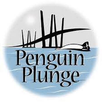 Preview of Penguin Plunge Winter STEM Challenge: handout and lesson plan