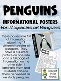 Penguin Posters - Information Sheets for 17 Species