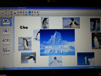 Preview of Penguin Sight Word Review SmartBoard Center
