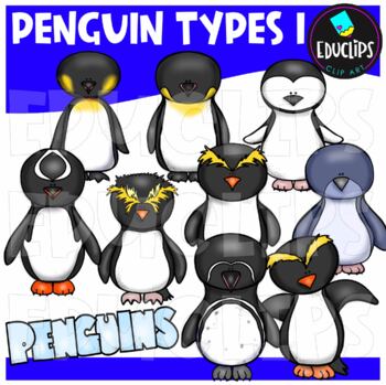 Preview of Penguin Types 1 Clip Art Set {Educlips Clipart}