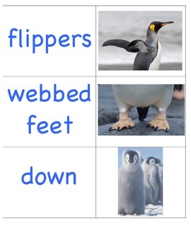 Preview of Penguin Vocabulary Word Wall Cards