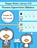 Penguin Winter Literacy CVC Phoneme Segmentation