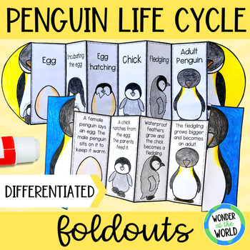 Preview of Penguin life cycle foldable sequencing activity differentiated cut and paste