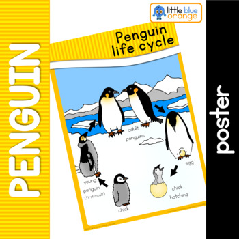 Penguin life cycle poster by Little Blue Orange | TpT