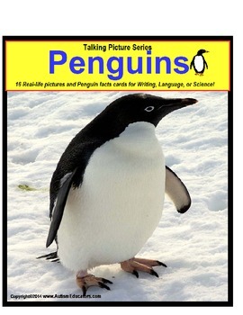 Preview of Penguins Picture Nonfiction Fact Cards