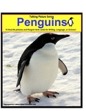 Penguins Picture Nonfiction Fact Cards