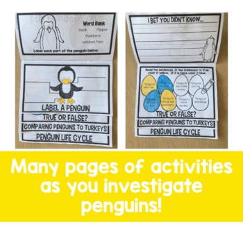 All About Penguins Flip Up Book by Amanda Richardson | TPT