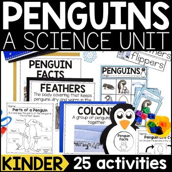 Preview of All About Penguins | Penguins Science | Winter Science Lessons & Activities