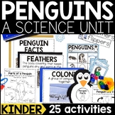 All About Penguins | Penguins Science | Winter Science Les