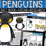 Penguins | Arctic Animals | Polar Animals