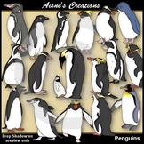 Penguins Clip Art