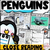 Penguins First Grade | Penguins Reading Passages