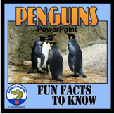 All About Penguins PowerPoint Fun Facts Informational Text