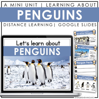 Preview of Penguins | Google Slides | Digital + Print
