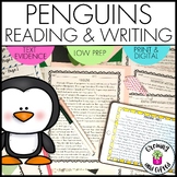 Penguins Informative Writing Prompt and Reading Comprehens