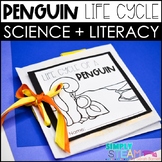 Penguins Life Cycle | Penguin Craft