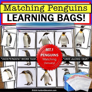 Preview of Penguins Matching Real Life Pictures Learning Bag for Special Education