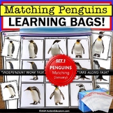Penguins Matching Real Life Pictures Learning Bag for Spec