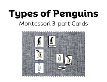 Preview of Penguins Montessori 3-part cards