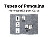 Penguins Montessori 3-part cards