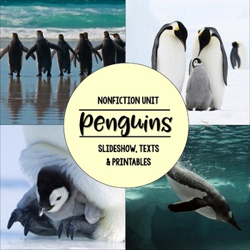 Preview of Penguins Nonfiction Close Reading & Visual Vocabulary Unit