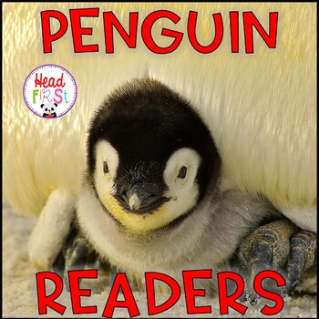 Preview of Penguins Nonfiction Readers 3 Levels First Grade Guided Reading Books Winter