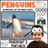 Penguins Unit: PowerPoint and Printables, Non-Fiction