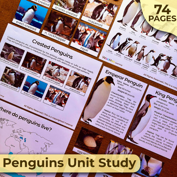 Preview of Penguins Unit Study, All About Penguins