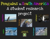 Penguins in South America - A Student Research Project