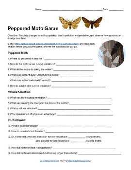 Peppered Moth Game By Biologycorner Teachers Pay Teachers