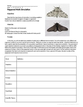 Peppered Moth Natural Selection Simulation Lab By Marjorie Marchin