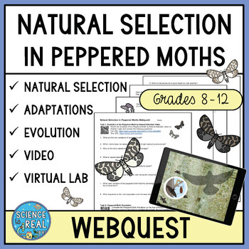 Preview of Peppered Moth Natural Selection Webquest