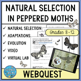 Peppered Moth Natural Selection Webquest - Digital & Printable