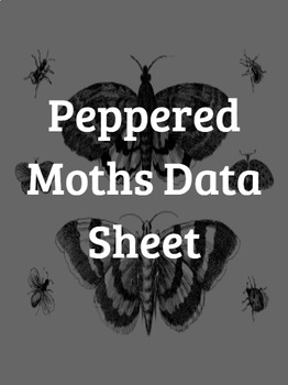 Preview of Peppered Moths Data Sheet