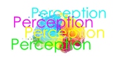 Perception PPT