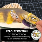 Perch Paper Dissection - Scienstructable 3D Dissection Mod