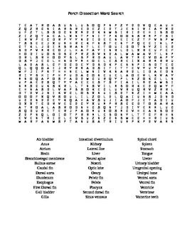 Preview of Perch Dissection Word Search
