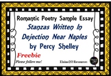 Percy Shelley Sample Essay Stanzas Written in Dejection Ne