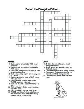 Anitailsperegrine Falcon Story Crossword Coloring Page And More