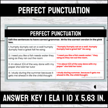 punctuation assignment for class 4