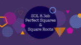 Perfect Squares & Square Roots Presentation