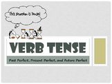 Perfect Verb Tense Lessons and Review Bundle