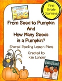 Perfectly Pumpkin Reading Lesson Plans and Supplemental Ma