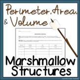 Perimeter, Area, and Volume Activity