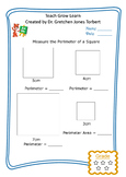 Perimeter of a square 1