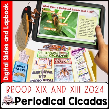 Preview of Brood XIII Cicadas and Brood XIX Mini-Bundle