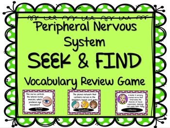 Preview of Peripheral Nervous System Seek and Find Review Vocabulary Game