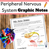 Peripheral Nervous System Worksheets.  Sympathetic and Par
