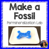 Permineralization Fossil Lab